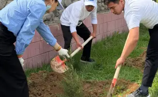 Международная инициатива по озеленению: 100 волонтеров в Сарыагаше сажают 200 деревьев