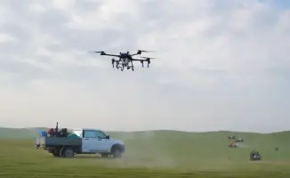 Саранча vs технологии: битва за Туркестан!