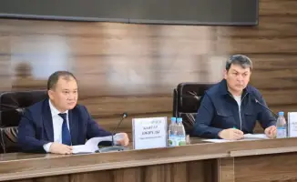 Арысь: ежедневная борьба с саранчой