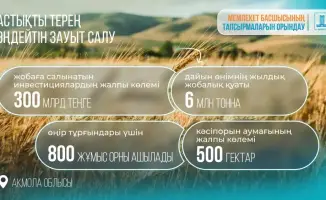 Зерно как золото: Казахстан запускает инвестиционный проект для создания завода глубокой переработки в Акмолинской области