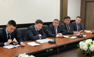 Обсуждение мер по борьбе с саранчовыми вредителями и коррупцией на онлайн-совещании