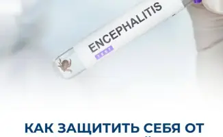 Увеличение активности клещей: риски укусов и угроза клещевого энцефалита