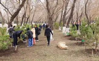 Караганда: Внедрение экологических инициатив через массовую высадку деревьев