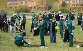 В Актюбинской области высажено около 10 тысяч деревьев в рамках республиканской акции