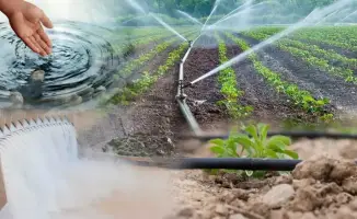 Увеличение субсидий на поливную воду: последствия для аграриев и устойчивого водопользования