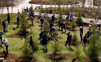 Жители столицы объединились для высадки 300 деревьев в парке «Ататюрк» в рамках экологической акции