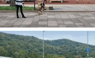 В Медеуском районе Алматы стартует благоустройство более 30 общественных пространств в 2026 году