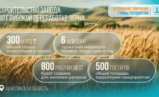 Завод по глубокой переработке зерна в Акмолинской области одобрен правительством Казахстана