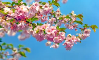 Астана и Алматы: дождь не везде, но где?