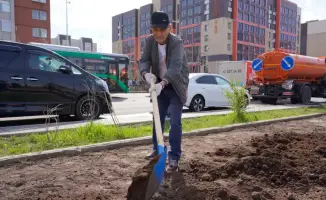В Астане в рамках экоакции высажено более 350 деревьев с участием 500 человек