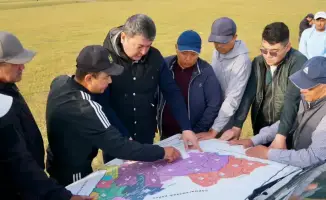 Зеленое море под контролем: борьба с саранчой в Туркестанских степях