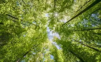 Экологическая программа в Алматинской области стартовала