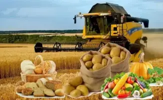 Кулинарный подъем: Казахстанский рынок продуктов питания взлетел на 11,9% и достиг 665 миллиардов тенге