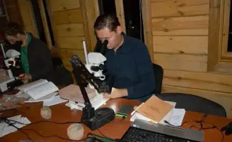 Открытия казахстанского ученого: новые памятники Золотой Орды и их влияние на культурное наследие и внутренний туризм