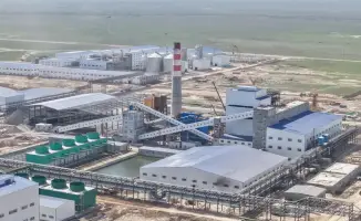 Казахстан: первопроходец в аминокислотном океане Центральной Азии