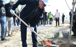 Масштабный субботник в Алматинской области: 30 тысяч участников высадили 20 тысяч деревьев и вывезли 394 тонны мусора