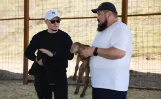 Пастбища Жамбылского района: овечьи стада готовятся к весеннему пробуждению