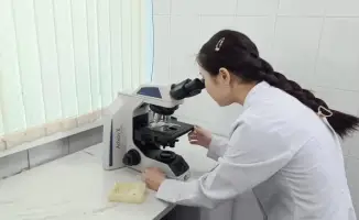 Открытие селекционного центра в Абайской области: новые перспективы для овцеводства