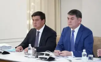 Благоустройство Туркестанской области: высажено 31 тыс. саженцев и вывезено 2 тыс. тонн мусора в рамках программы по санитарной чистоте