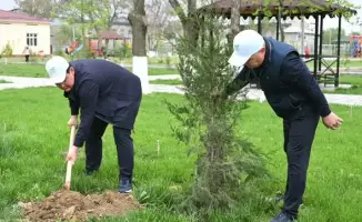 Субботник в Жетысае: активация местного сообщества и экологическая инициатива