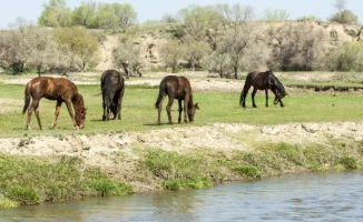 Погода в Астане и Алматы: Гроза и жара в начале апреля