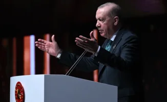 Эрдоган обсудил с Штайнмайером переговоры по Ирану и Украине