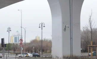 Краска на опорах LRT в Астане начала шелушиться: CTS объясняет ситуацию