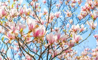 Казахстан встречает тепло: температура поднимется до +28°C