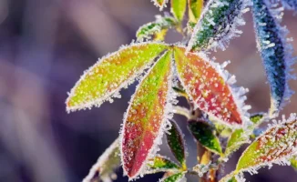 24 апреля в Казахстане произошло несколько значимых событий. В центре внимания оказался поворот в деле Жанабыловых, который привлек внимание общественности и СМИ. Также в стране были представлены новые банкноты тенге, что стало важным шагом в обновлении н