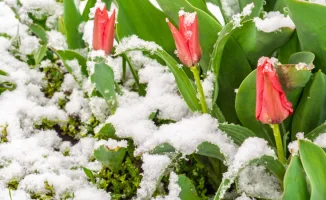 Снег и морозы до 8 градусов: как погодные условия повлияют на повседневную жизнь казахстанцев в апреле