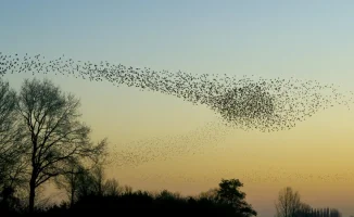 В Астане и Алматы похолодает - прогноз на 3, 4, 5 апреля