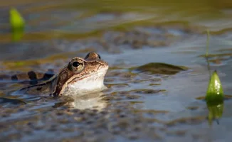 Погода в Астане и Алматы: резкое похолодание и грозы могут повлиять на праздничные мероприятия 1 мая
