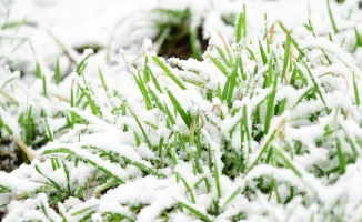 Казахстан: зима возвращается на крыльях апреля — синоптики предсказывают снег и резкое похолодание