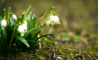Сильные дожди и заморозки в Казахстане: как погодные условия могут повлиять на сельское хозяйство и повседневную жизнь граждан