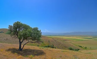 Казахстан готовится к жаре: температура поднимется до 32 градусов по прогнозу синоптиков на 23-25 апреля