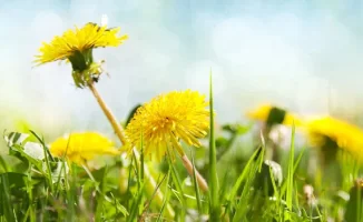 Синоптики Казгидромета представили консультативный прогноз погоды на май 2026 года в Казахстане. Ожидается, что в целом по стране температура воздуха будет колебаться в пределах от +20 до +30 градусов Цельсия. В некоторых регионах возможны кратковременные