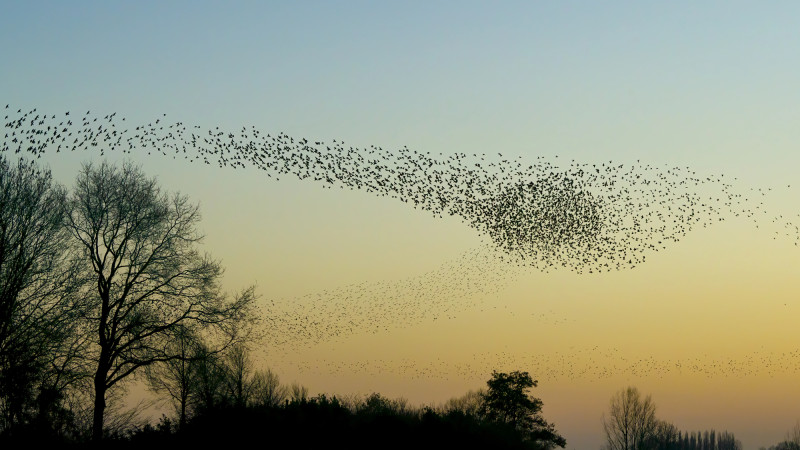 Синоптики Казгидромета прогнозируют похолодание в Астане и Алматы на 3, 4 и 5 апреля. Астане