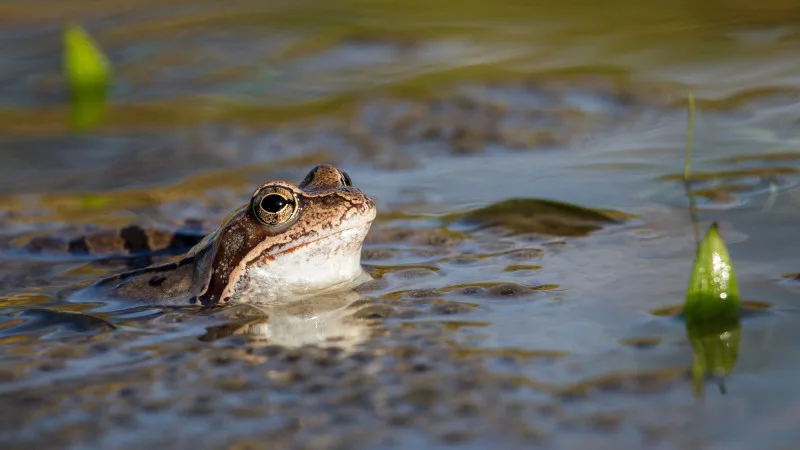 Погода в Астане и Алматы: резкое похолодание и грозы могут повлиять на праздничные мероприятия 1 мая Астане