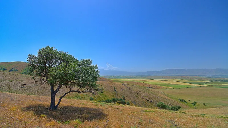 Казахстан готовится к жаре: температура поднимется до 32 градусов по прогнозу синоптиков на 23-25 апреля Астане