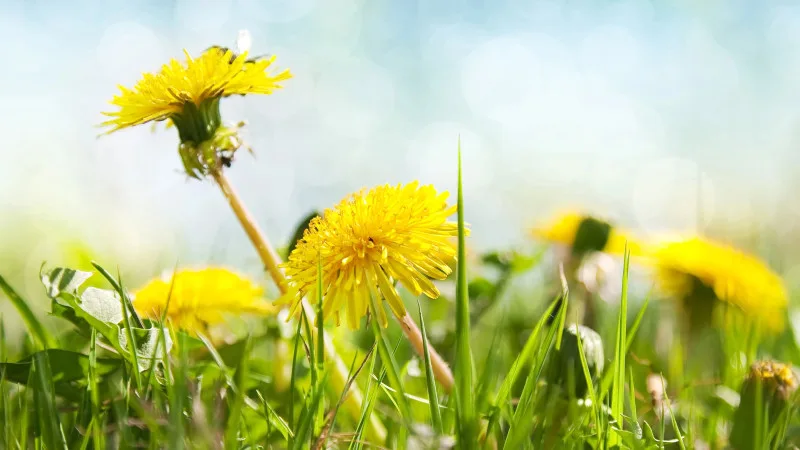 Синоптики Казгидромета представили консультативный прогноз погоды на май 2026 года в Казахстане. Ожидается, что в целом по стране температура воздуха будет колебаться в пределах от +20 до +30 градусов Цельсия. В некоторых регионах возможны кратковременные Астане