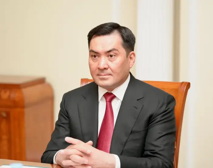 Казахстан и Всемирный банк обсудили создание регионального рынка электроэнергии в Центральной Азии (2)