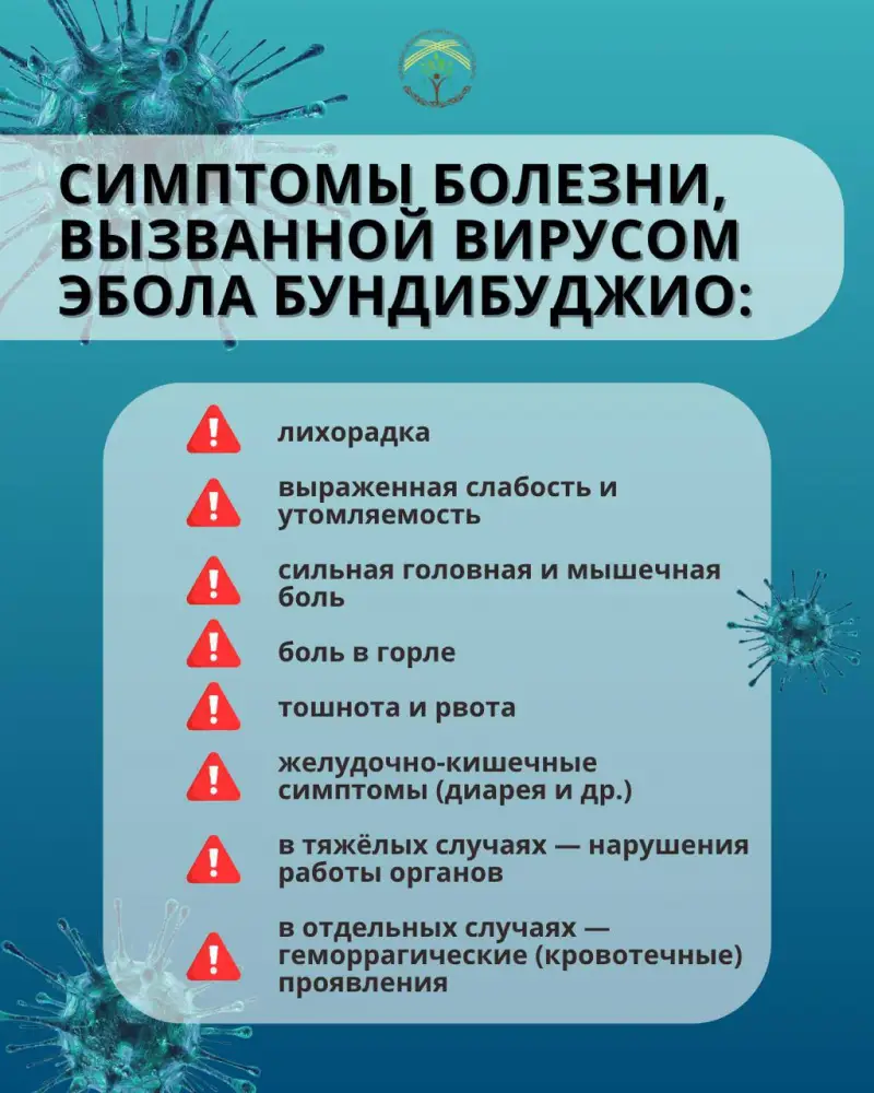 Эбола: что важно учитывать при поездках за границу (2)