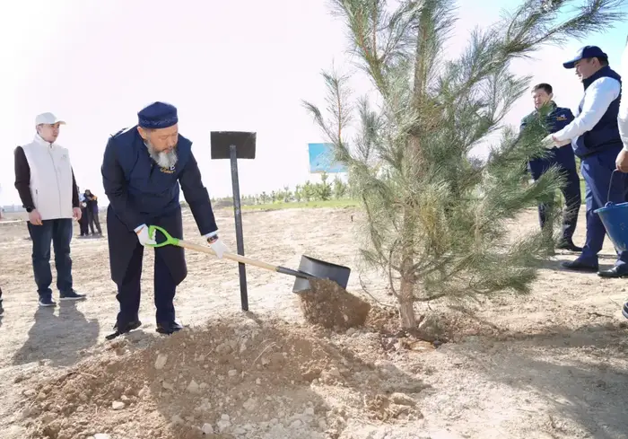 В ТУРКЕСТАНЕ В РАМКАХ ПРОГРАММЫ «ТАЗА ҚАЗАҚСТАН» ПРОШЛА АКЦИЯ ПО ПОСАДКЕ ДЕРЕВЬЕВ С УЧАСТИЕМ ВЕРХОВНОГО МУФТИЯ И АКИМА ОБЛАСТИ (4)