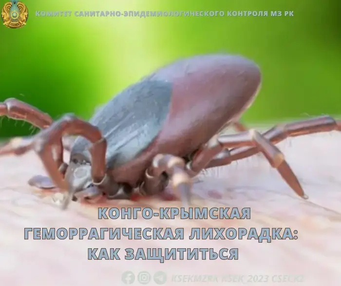 Последствия Конго-Крымской геморрагической лихорадки: угроза для здоровья и экономики Астане