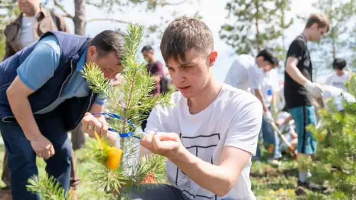 В Усть-Каменогорске выпускники школ высадили именные деревья (7)