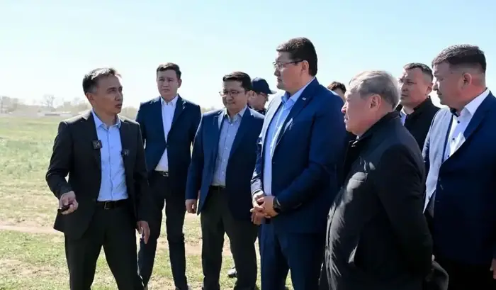 Абайская область готовится к борьбе с саранчой Астане