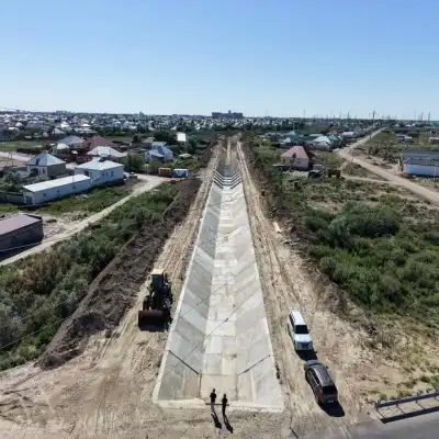 Направление проектов - озеленение города и улучшение инфраструктуры (5)