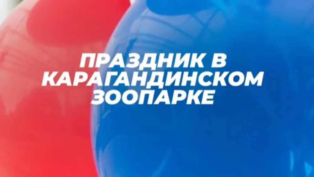 Праздник детства: волшебство фокусов и пенные облака в зоопарке Караганды 1 июня Астане
