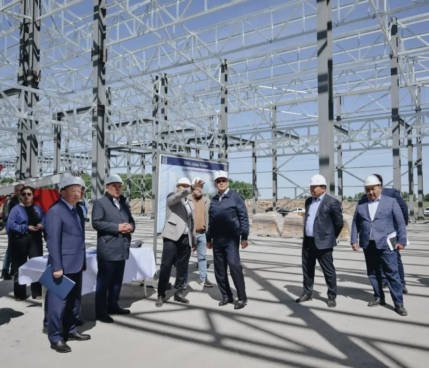 Завод по переработке люцерны в Кызылжарском районе запуск в августе Астане