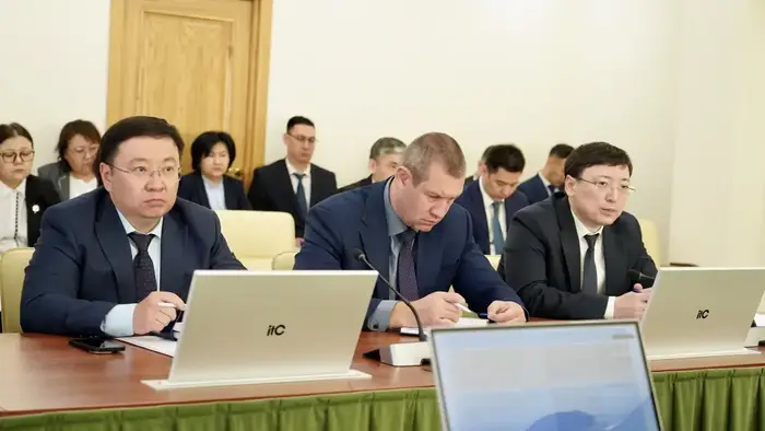 Автоматизация соцподдержки в Казахстане Астане